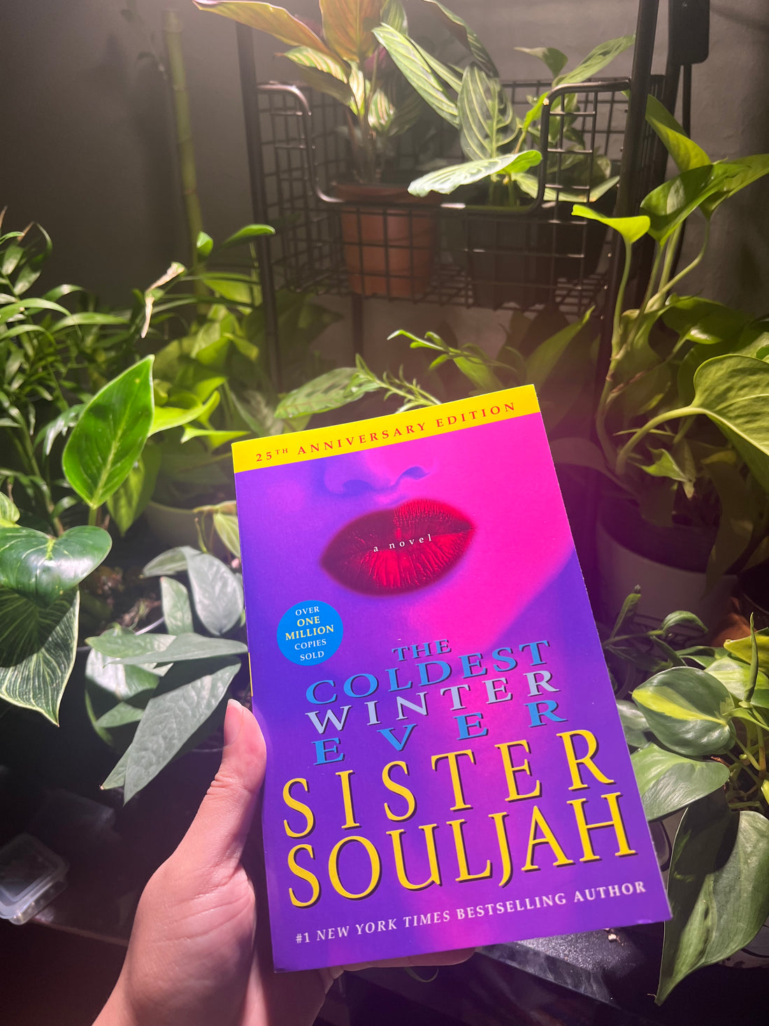 Book Review: The Coldest Winter Ever by Sister Souljah