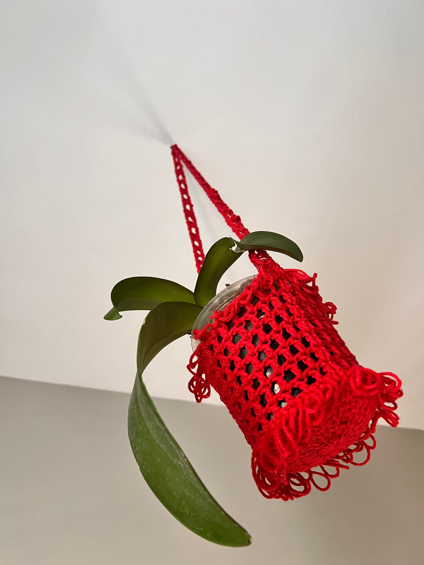 Wafflecone Plant Hanger 4.5” - Accessory