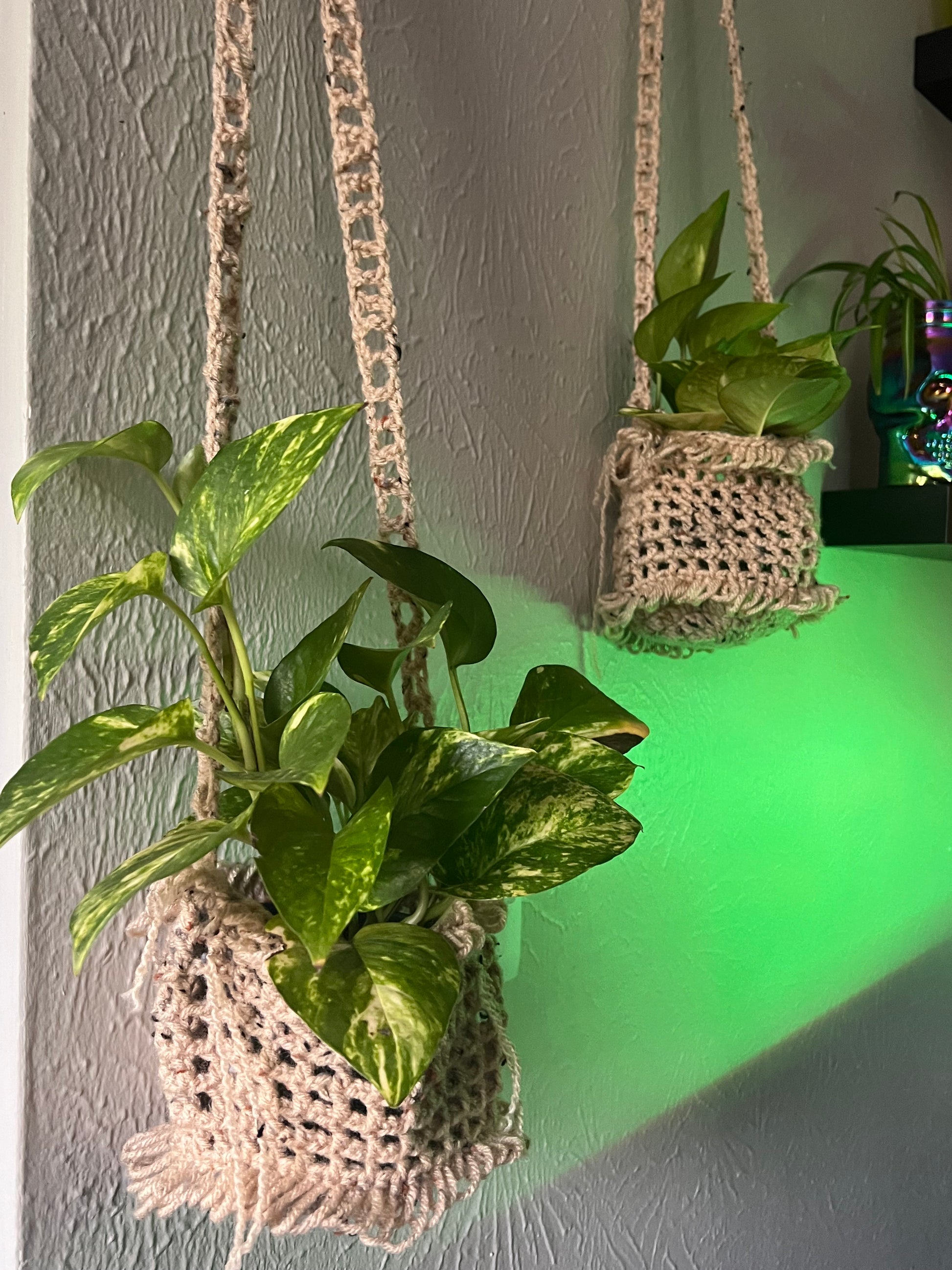 window sill plant hanger Wafflecone Plant Hanger 4.5”