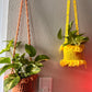 CUSTOM Plant Hangers