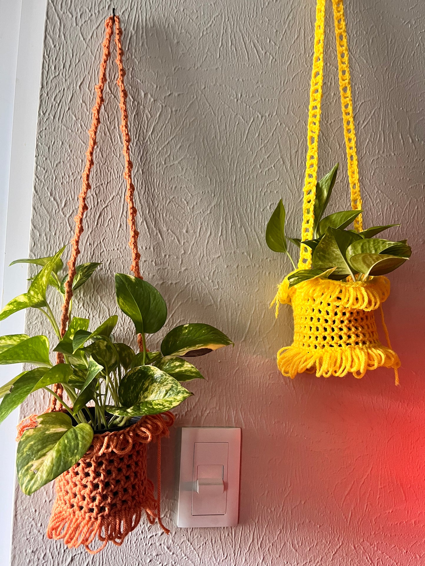 CUSTOM Plant Hangers