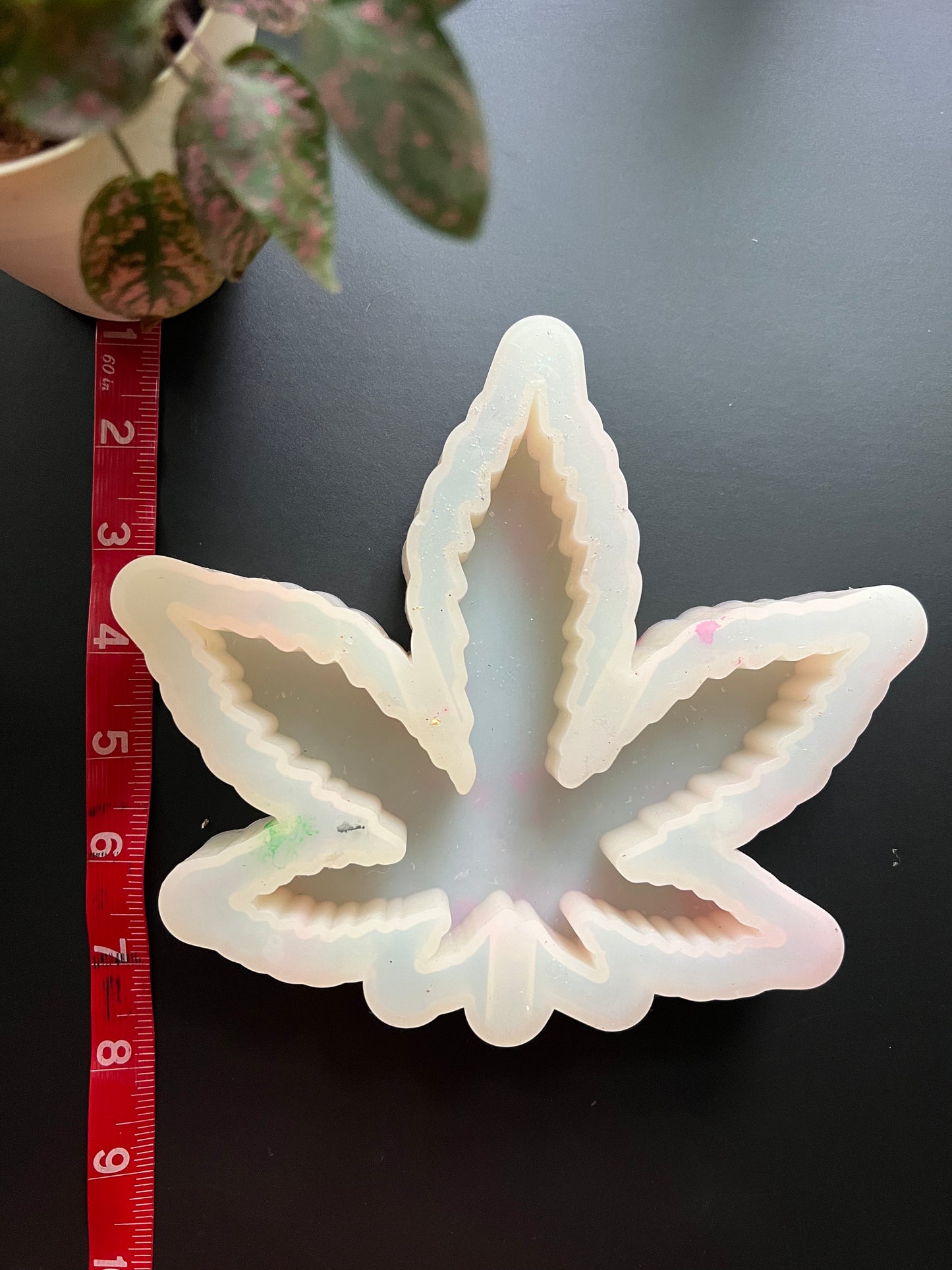 CUSTOM Canna Leaf Ashtray