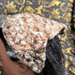 Neutral Zone Bandana